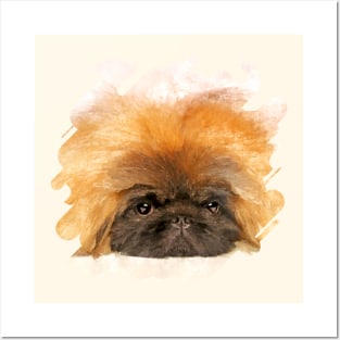 Portrait of fluffy sad Pekingese puppy Posters and Art